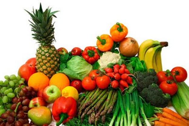 verduras y nutricion torrent
